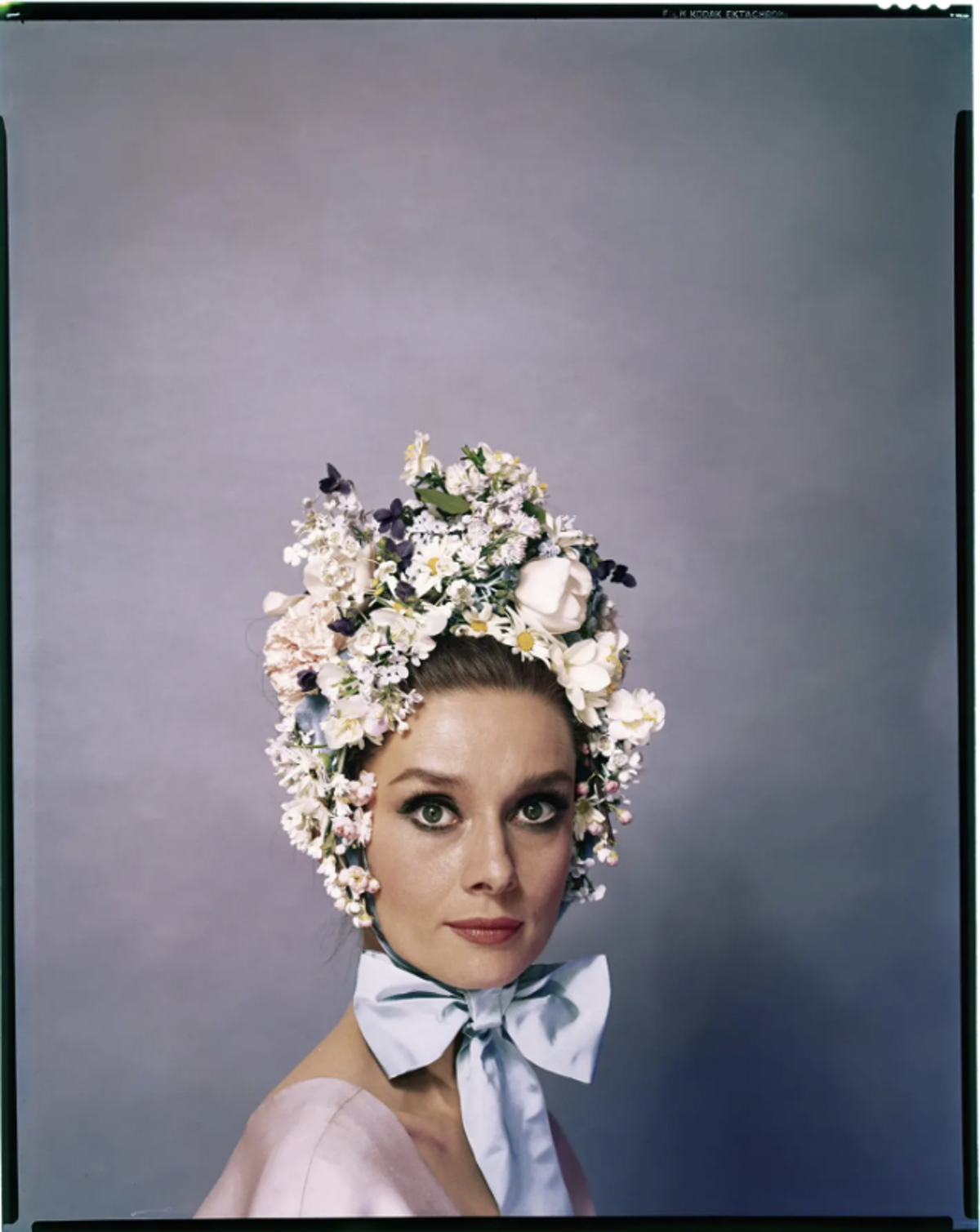 Screen Shot 2025 10 15 At 2.24.35 PM Screen Shot 2025 10 15 At 2.24.35 PM