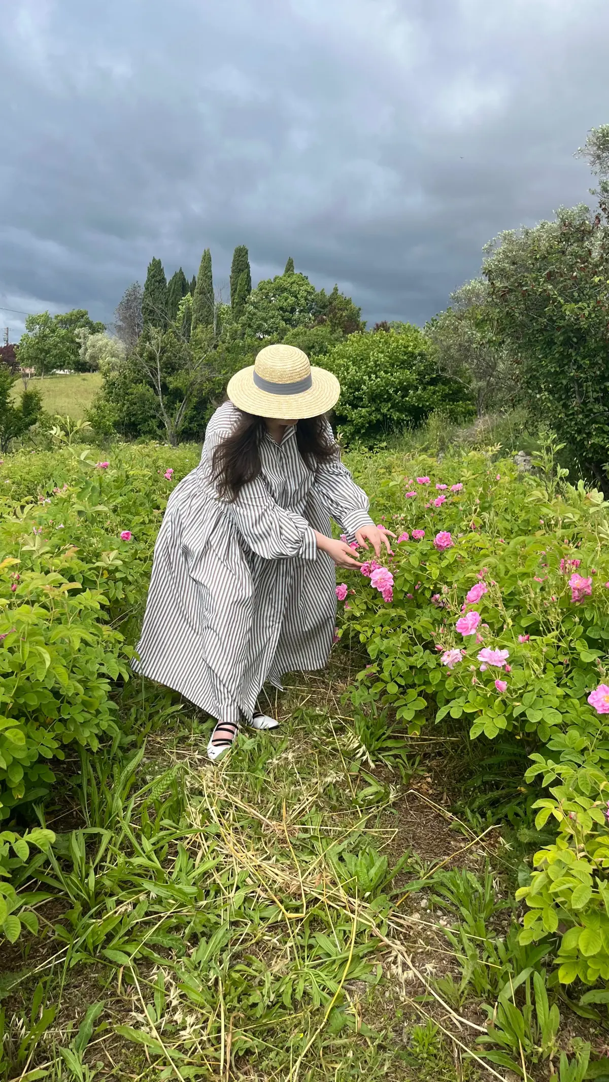 Whatsapp Image 2025 08 26 At 135144 Whatsapp Image 2025 08 26 At 135144