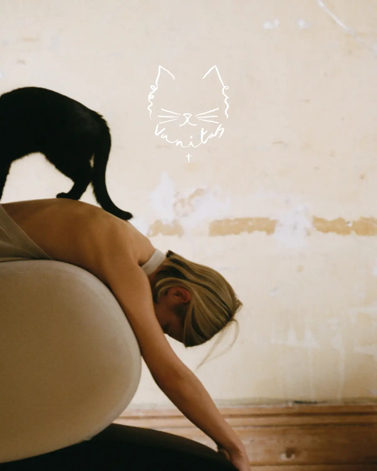 VANITAS ALIGHIERI CAMPAIGN 6 VANITAS ALIGHIERI CAMPAIGN 6