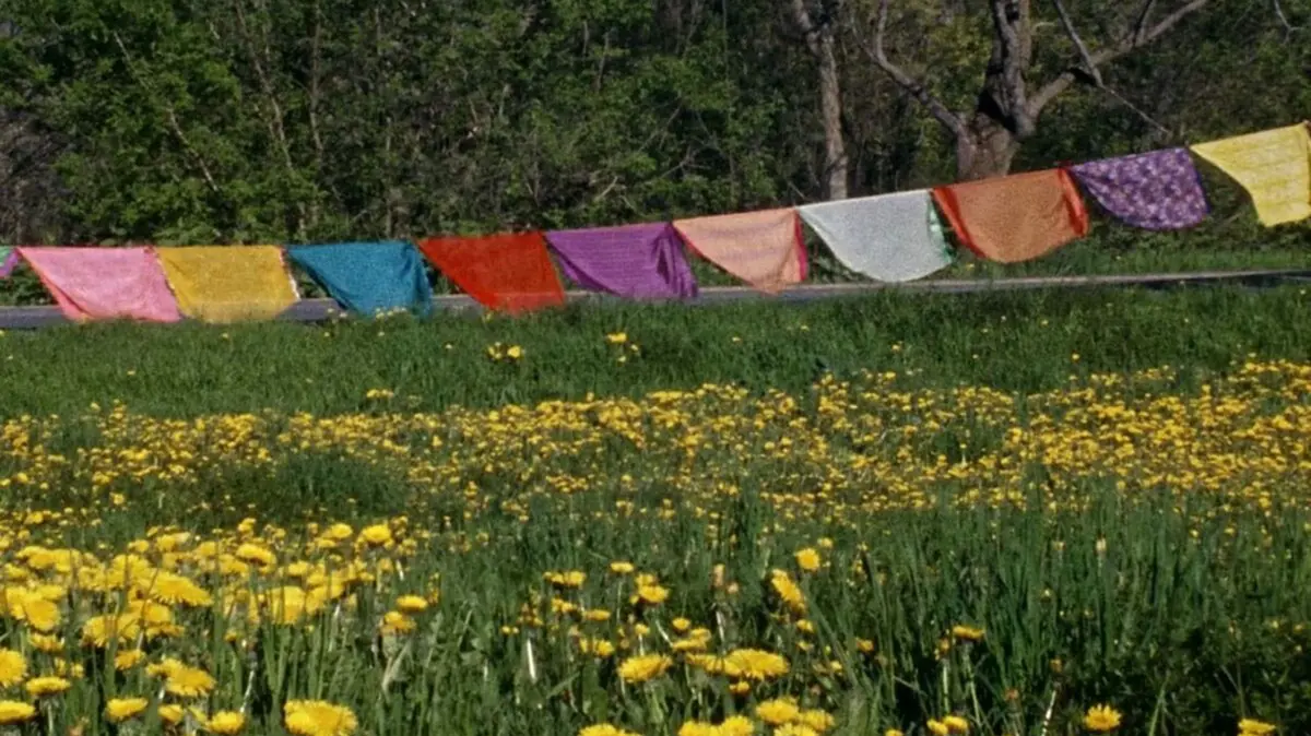 Hr Grand Bizarre 1200 1200 675 675 Crop 000000 Hr Grand Bizarre 1200 1200 675 675 Crop 000000