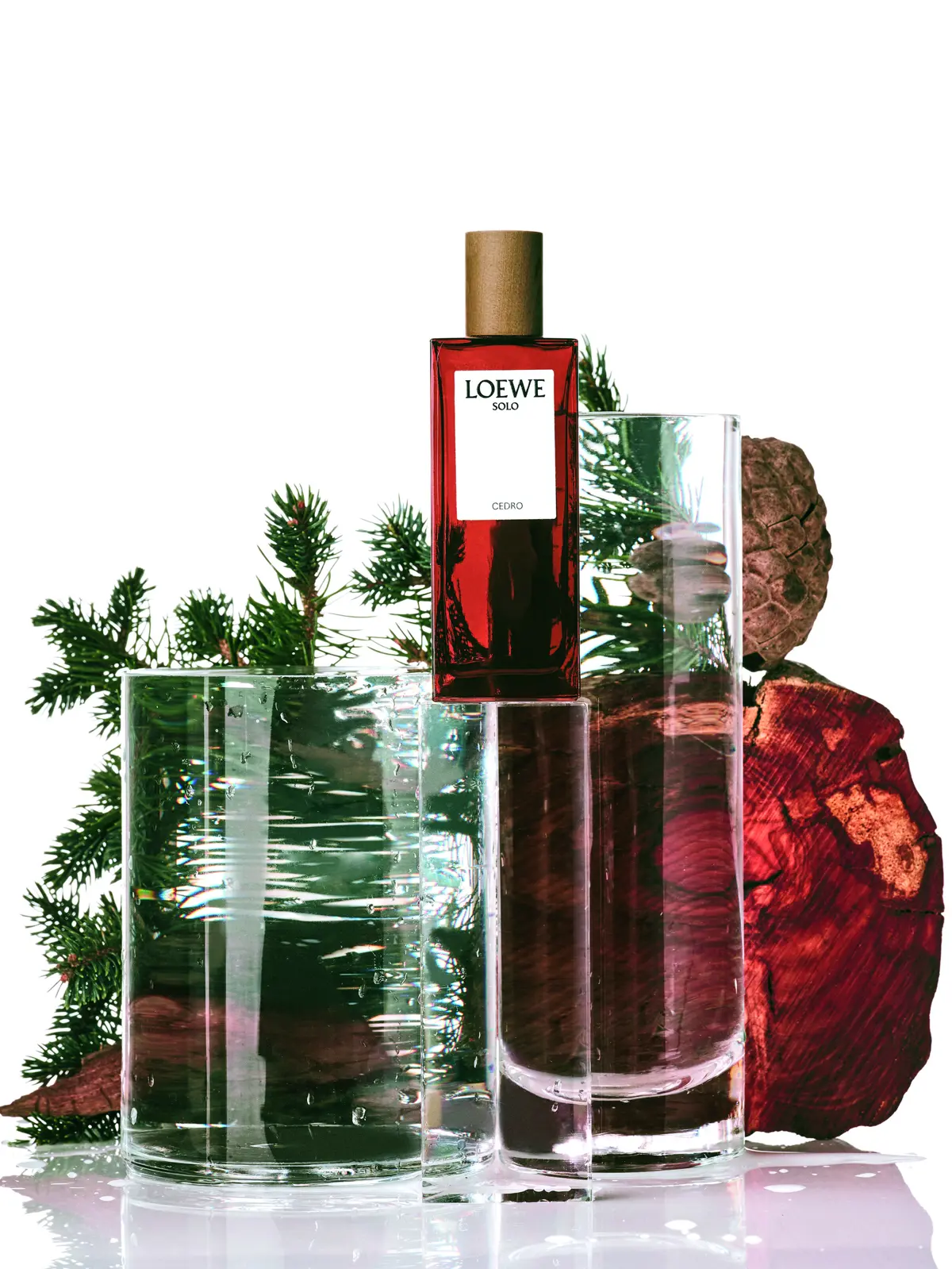 LOEWE Solo Cedro By Nacho Alegre LOEWE Solo Cedro By Nacho Alegre