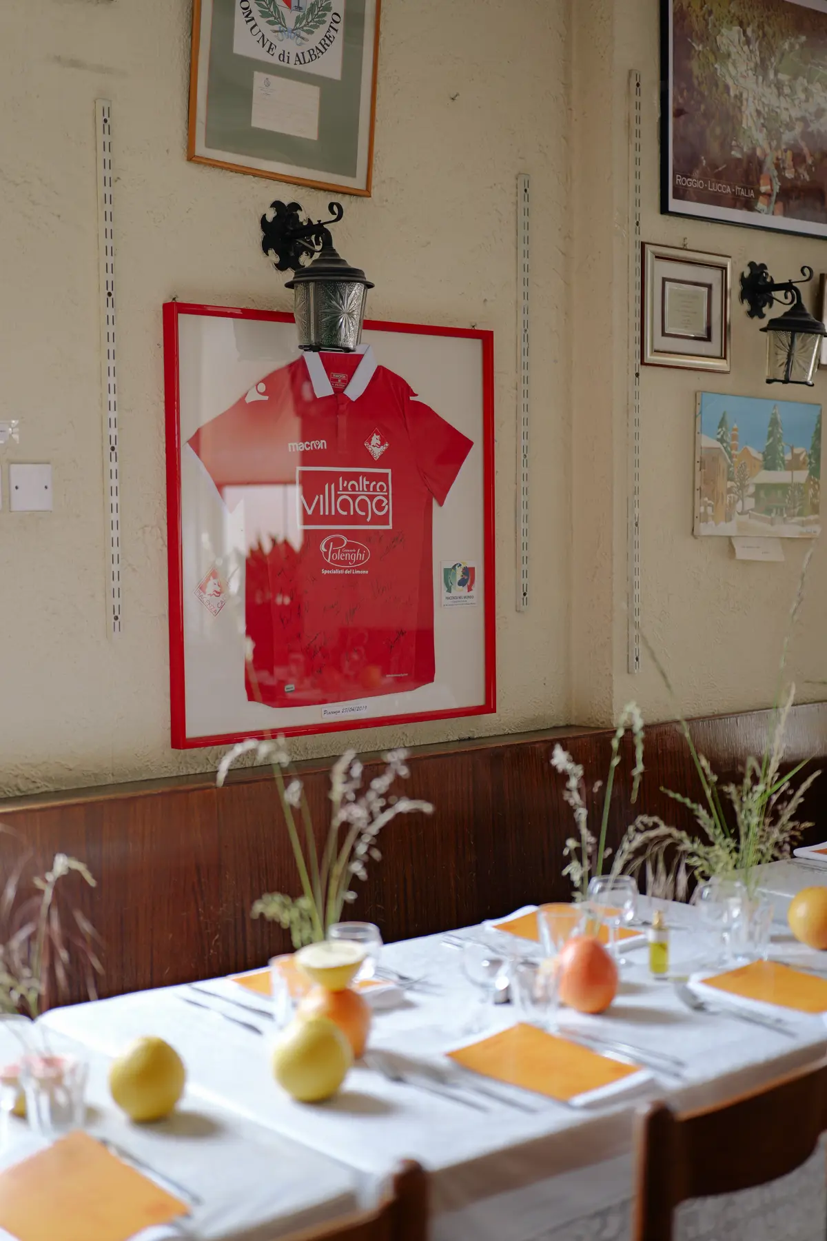 Ffern Summer 2024 2 Ffern Summer 2024 2