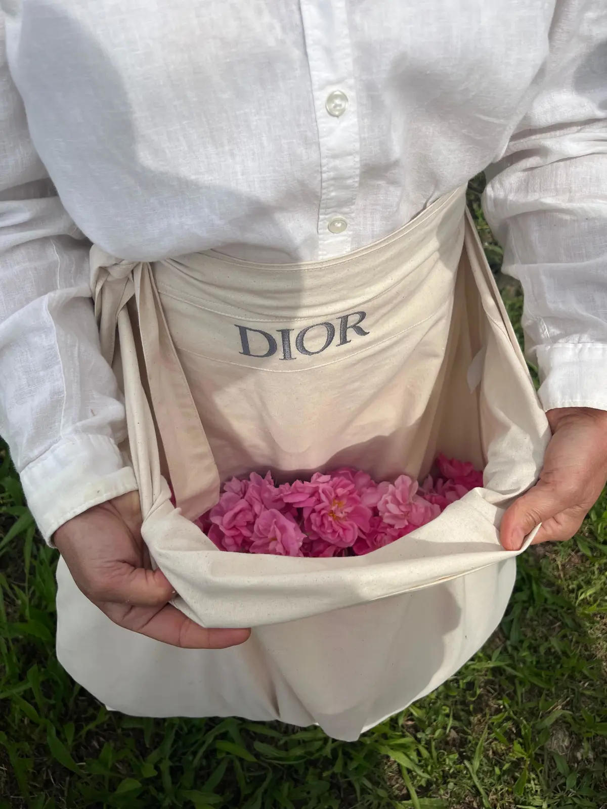 Whatsapp Image 2025 08 26 At 13.44.30 (1) Whatsapp Image 2025 08 26 At 13.44.30 (1)