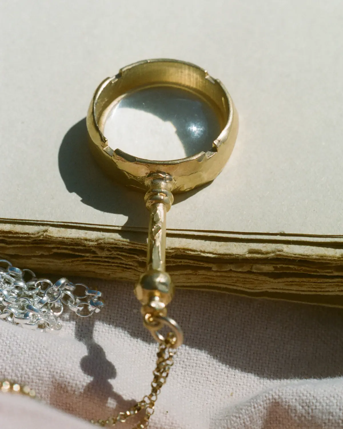 Aligheri Magnifer Aligheri Magnifer