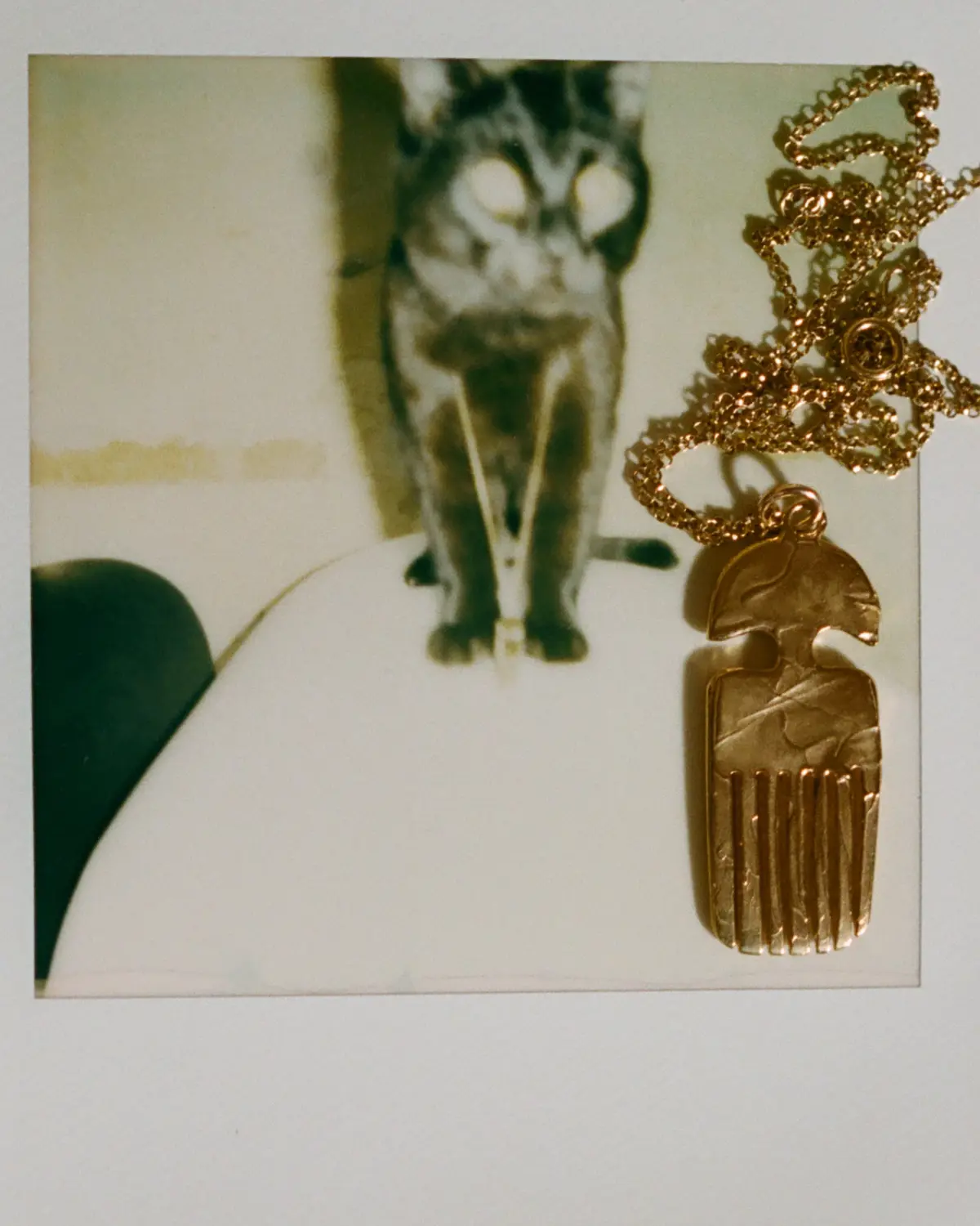 VANITAS ALIGHIERI CAMPAIGN 8 VANITAS ALIGHIERI CAMPAIGN 8