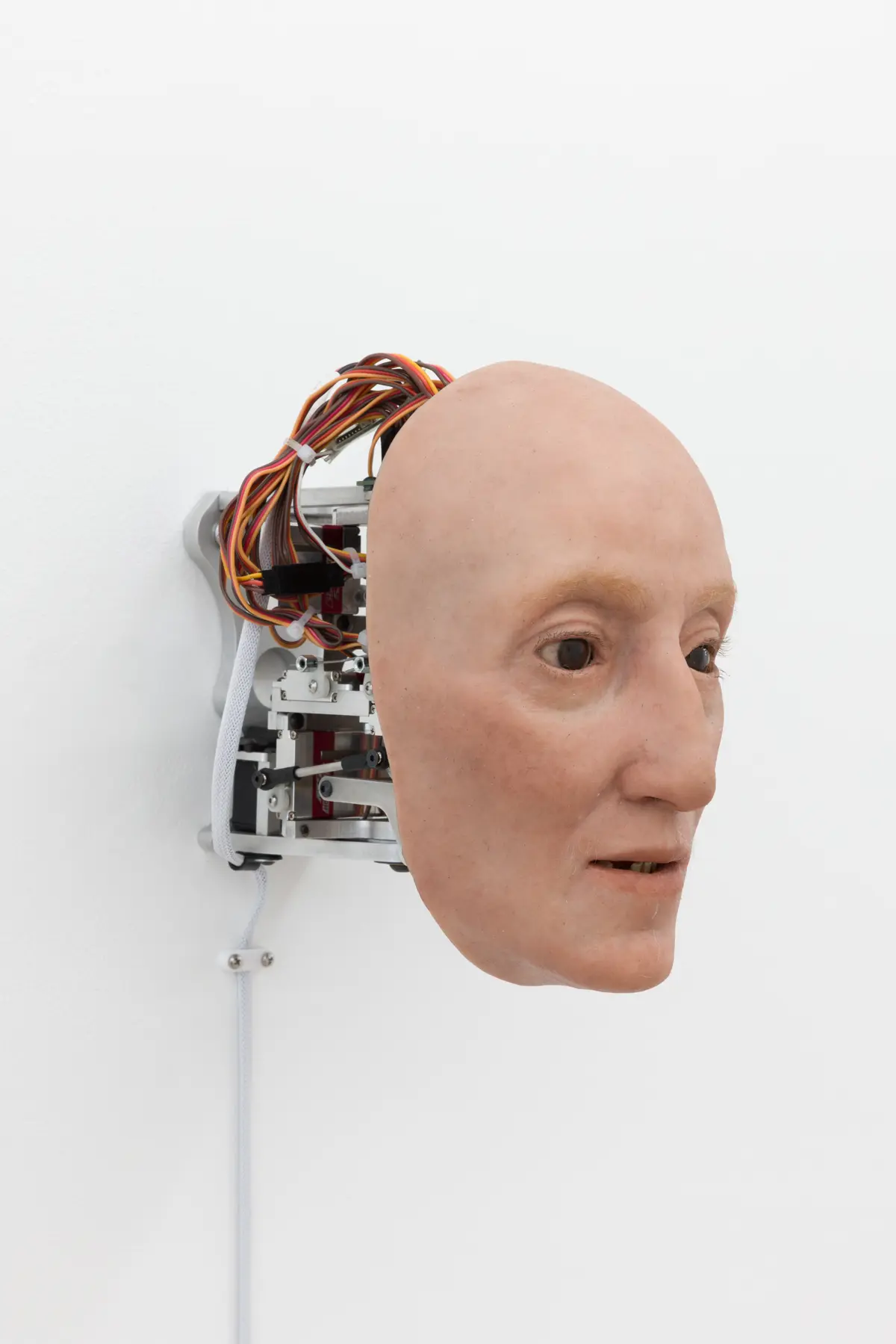 Brooke Benington Best Self (High Res) 46 Brooke Benington Best Self (High Res) 46