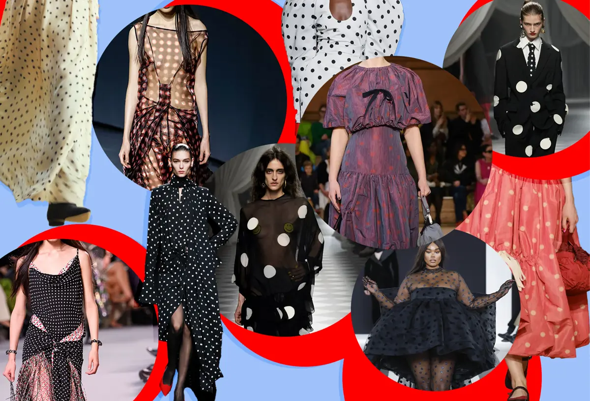 2.Polkadot 2.Polkadot