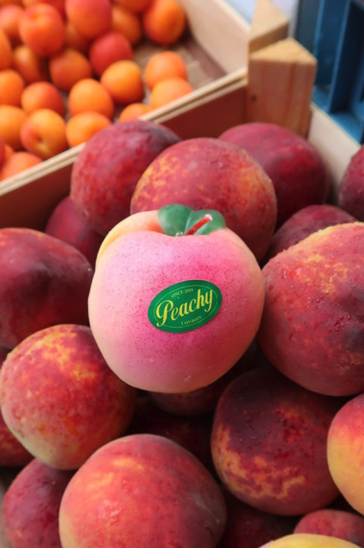 Screenshot 2024 06 28 At 16.11.00 Screenshot 2024 06 28 At 16.11.00