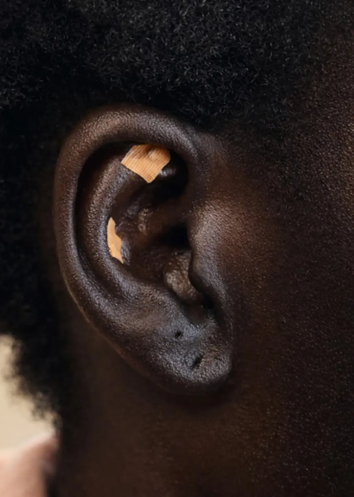 Johanna Parv X Herbar Ear Seeds